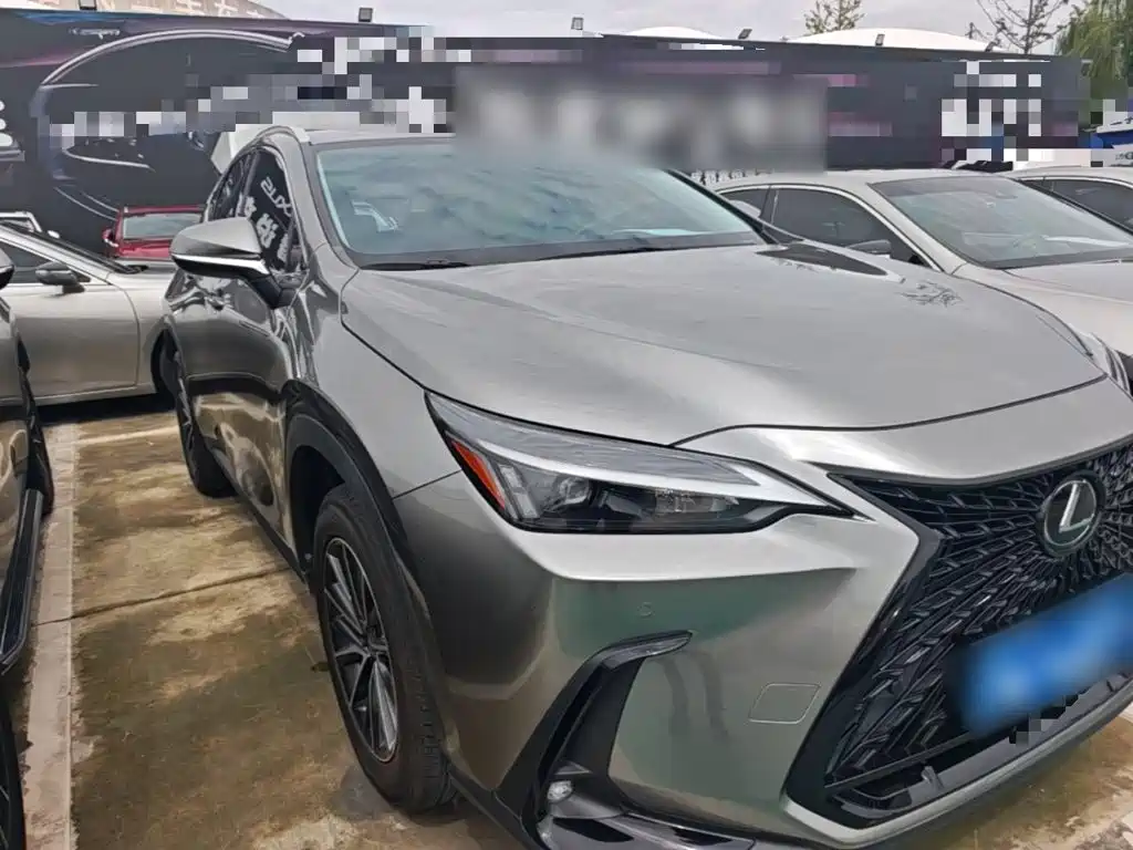 Lexus NX — миниатюра 4