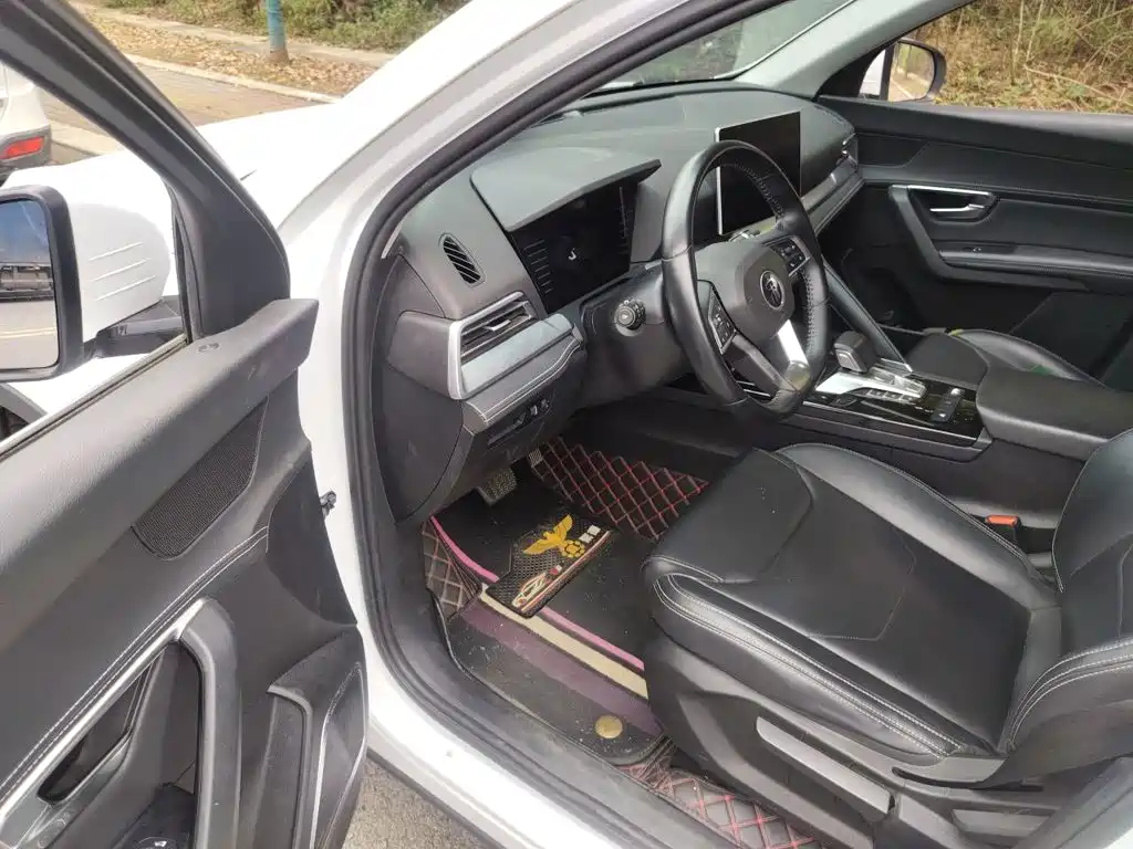 BYD Pro — миниатюра 12