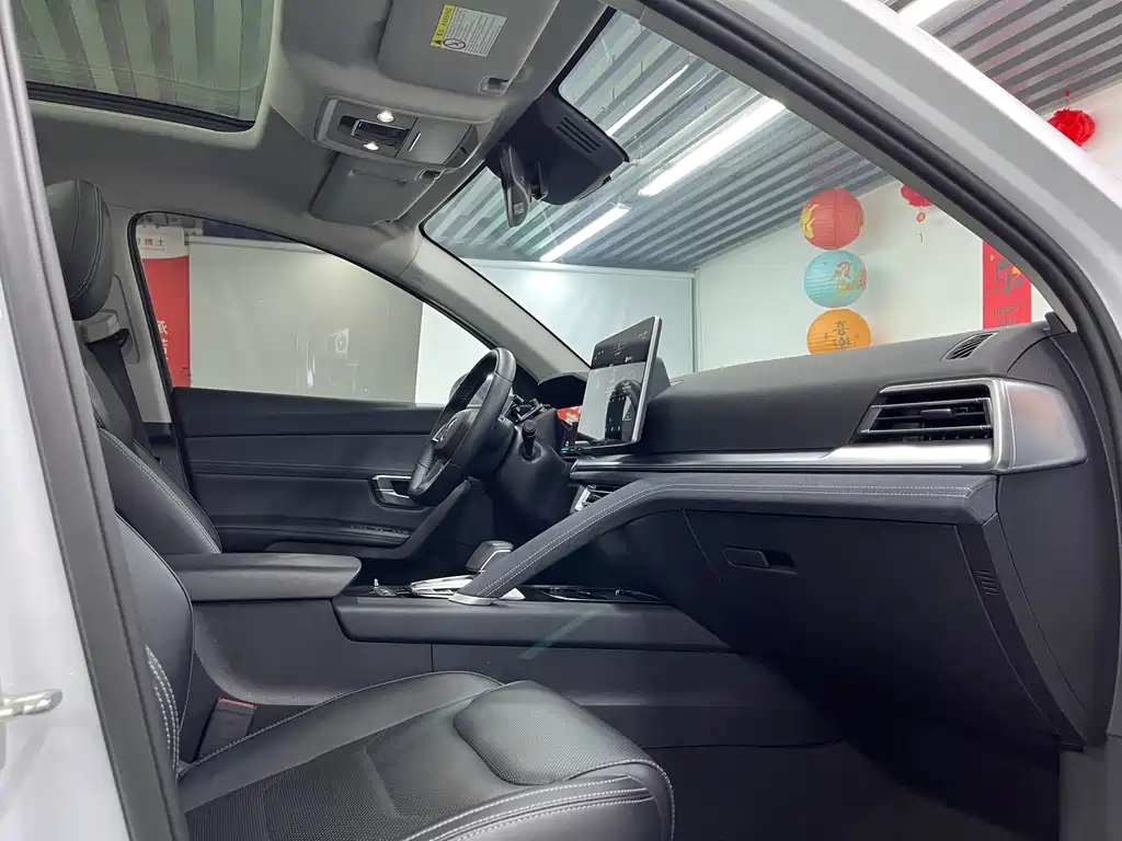 BYD Pro New Energy — миниатюра 21