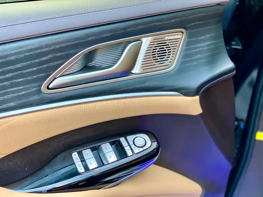Denza Denza D9 — миниатюра 15