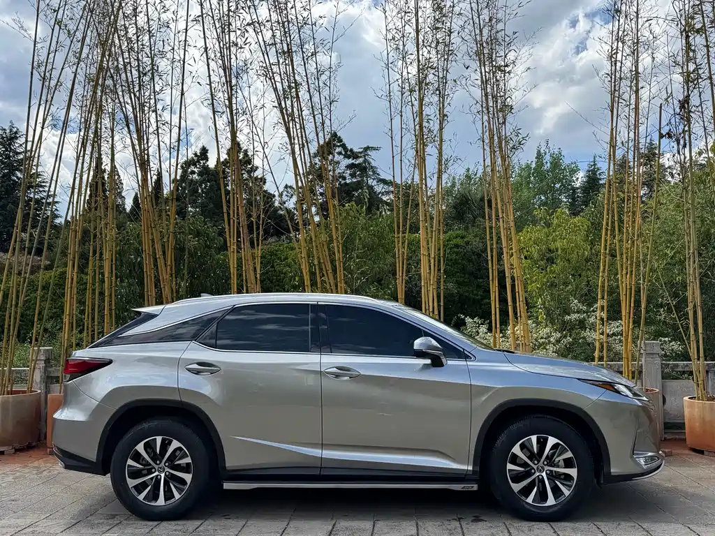 Lexus RX — миниатюра 5