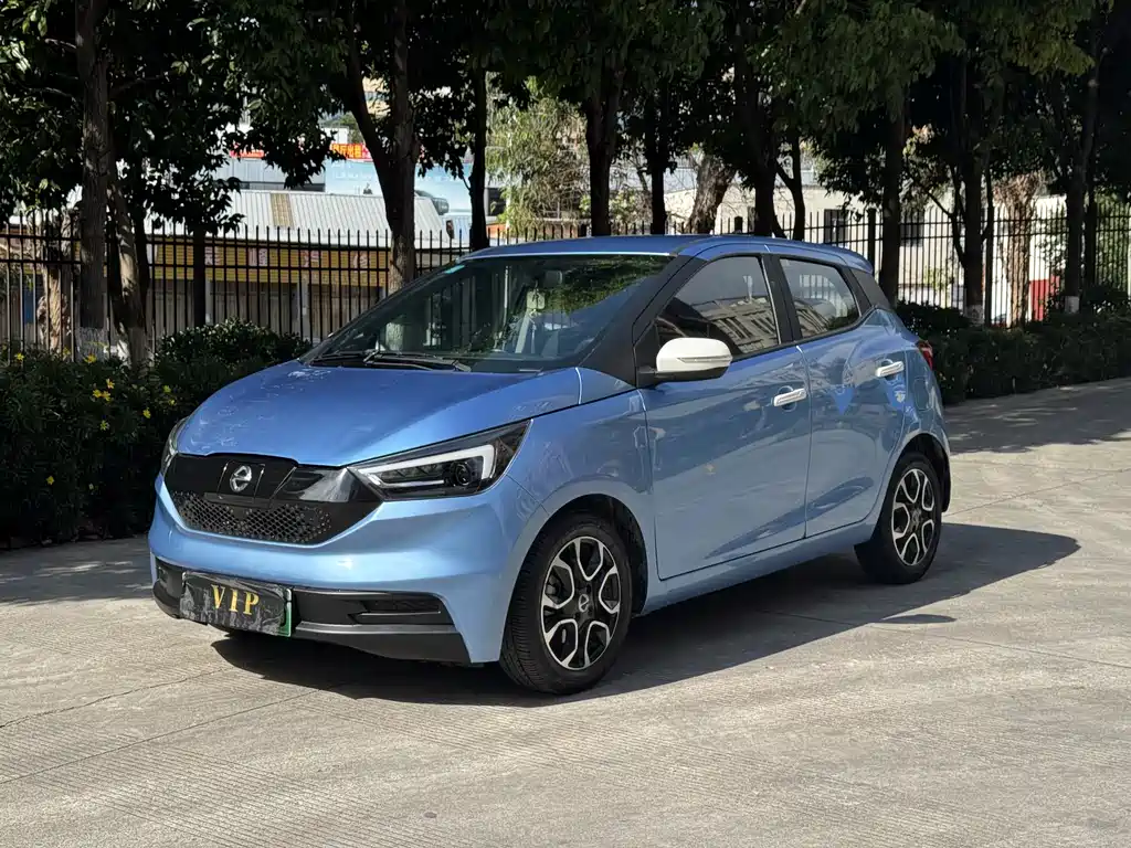 Jmev EV3 2021