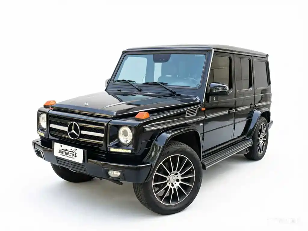 Mercedes-Benz G-Class 2010