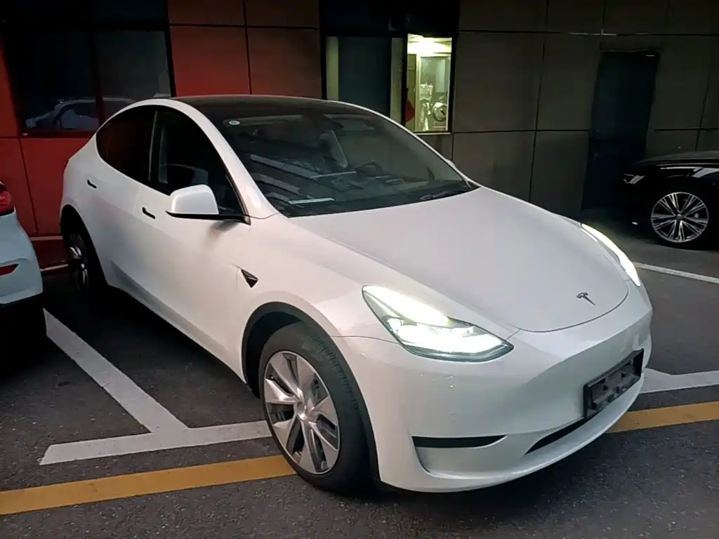 Tesla Model Y — миниатюра 4