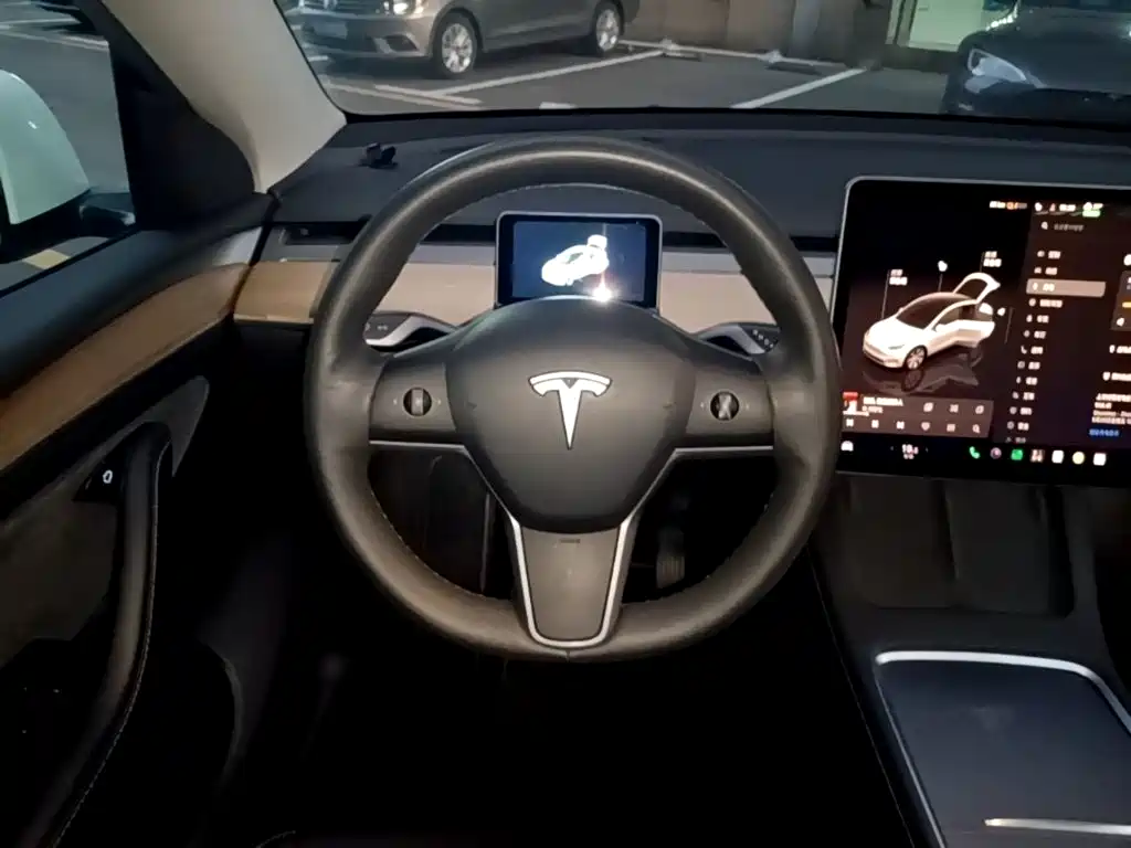 Tesla Model Y — миниатюра 11