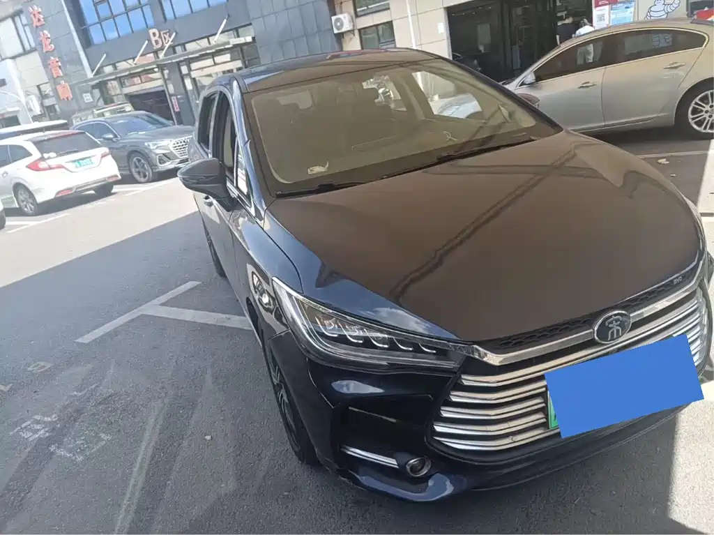 Byd MAX 2021