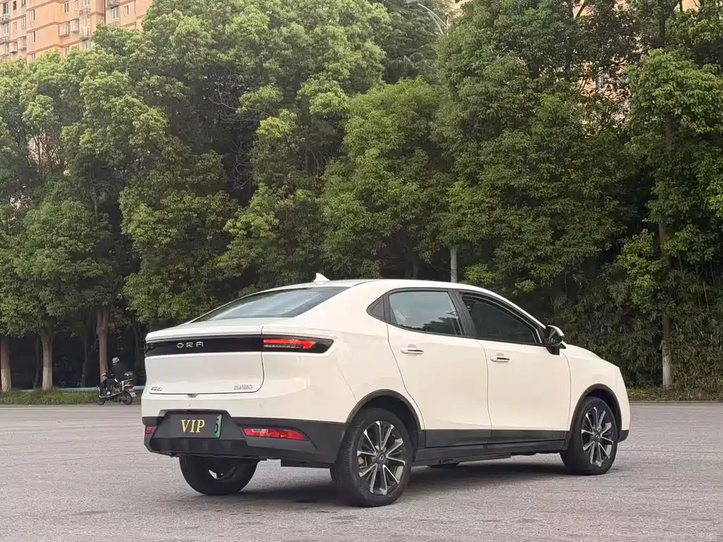 Ora Ora iQ — миниатюра 8