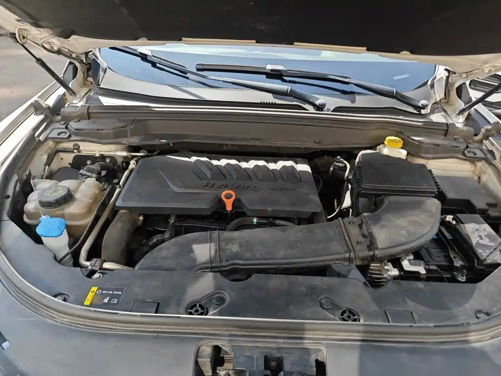 Haval H4 — миниатюра 16