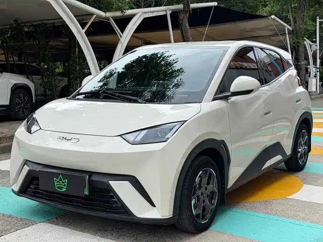 2025 BYD Seagull