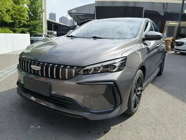 2024 Geely Binrui