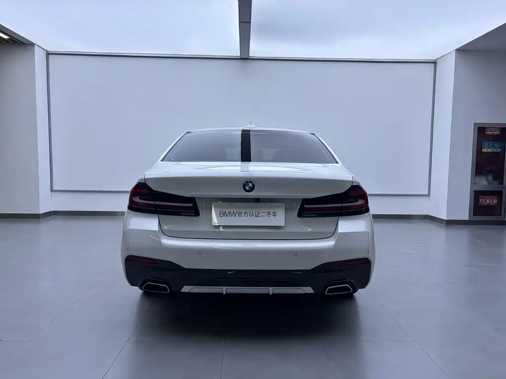 BMW 5 Series — миниатюра 5