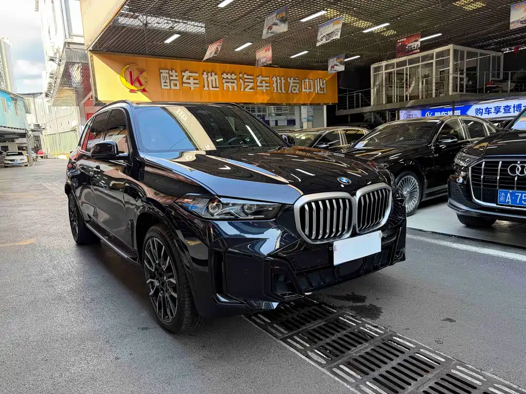 BMW X5 — миниатюра 3