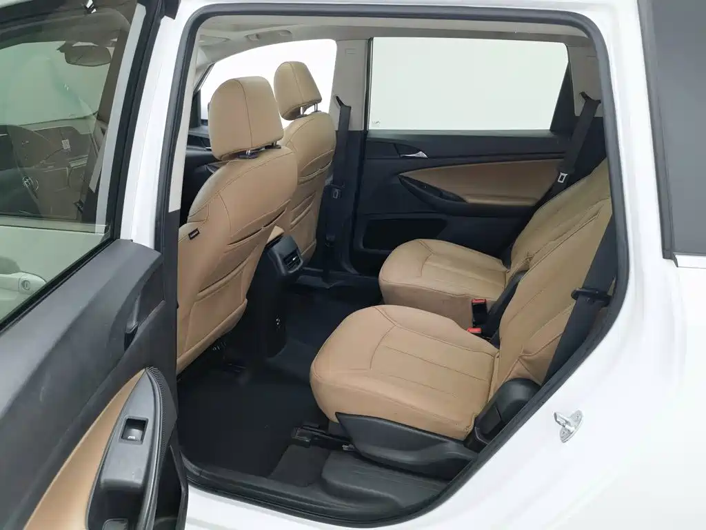 Buick GL6 — миниатюра 15