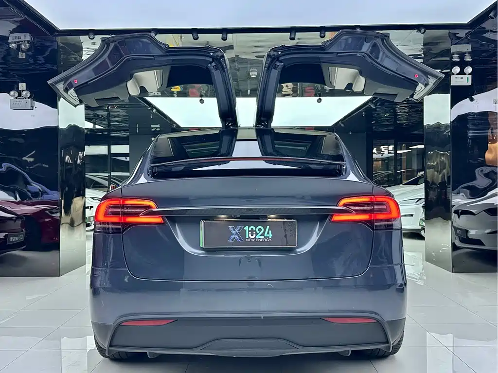 Tesla Model X — миниатюра 12