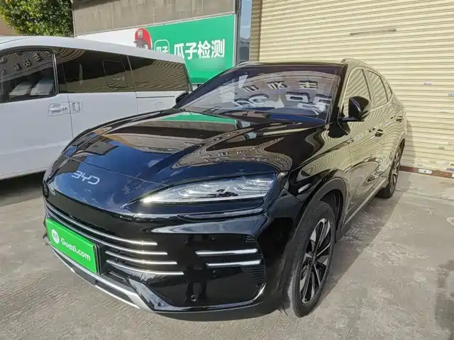 BYD SONGJIANG NEW ENERGY 2024