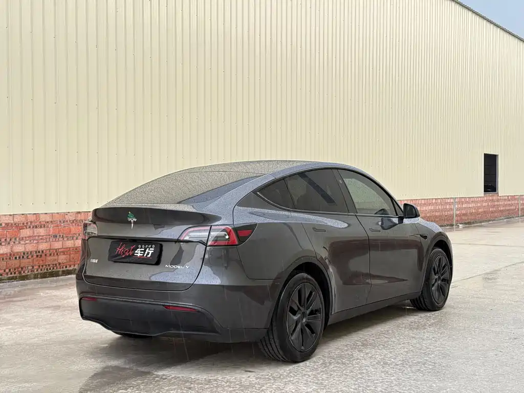 Tesla Model Y — миниатюра 6