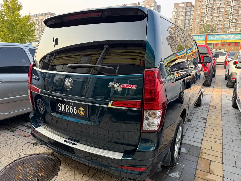 Fengxing Lingzhi PLUS — миниатюра 5