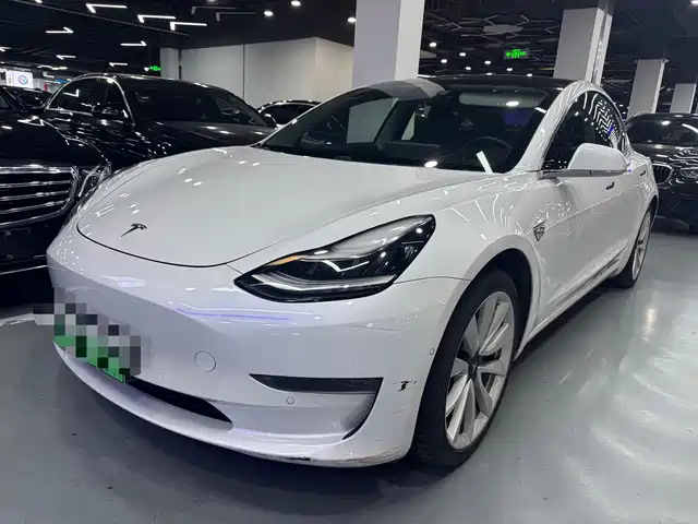 TESLA MODEL 3 2019