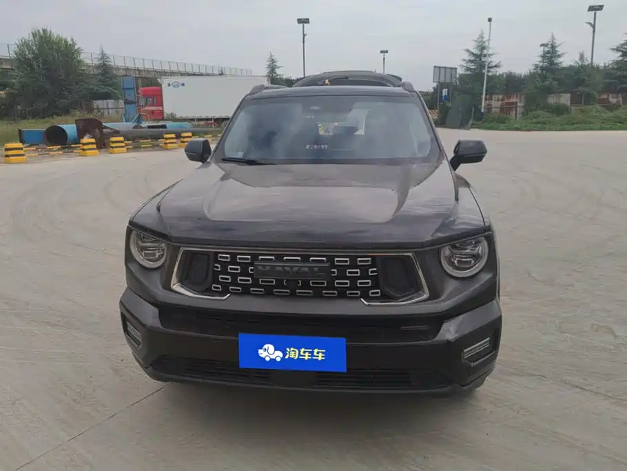 Haval Big Dog PLUS — миниатюра 2