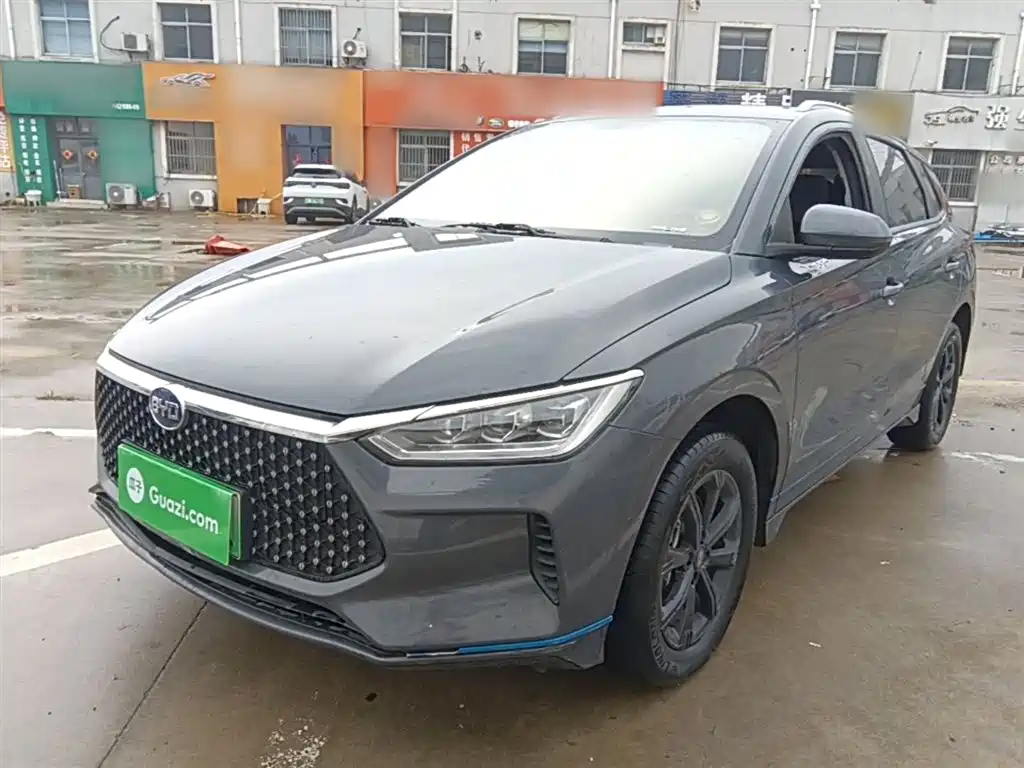 BYD e2 2021 Luxury Type