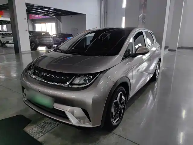 2023 BYD Dolphin