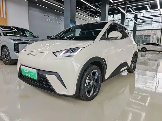 2023 BYD Seagull