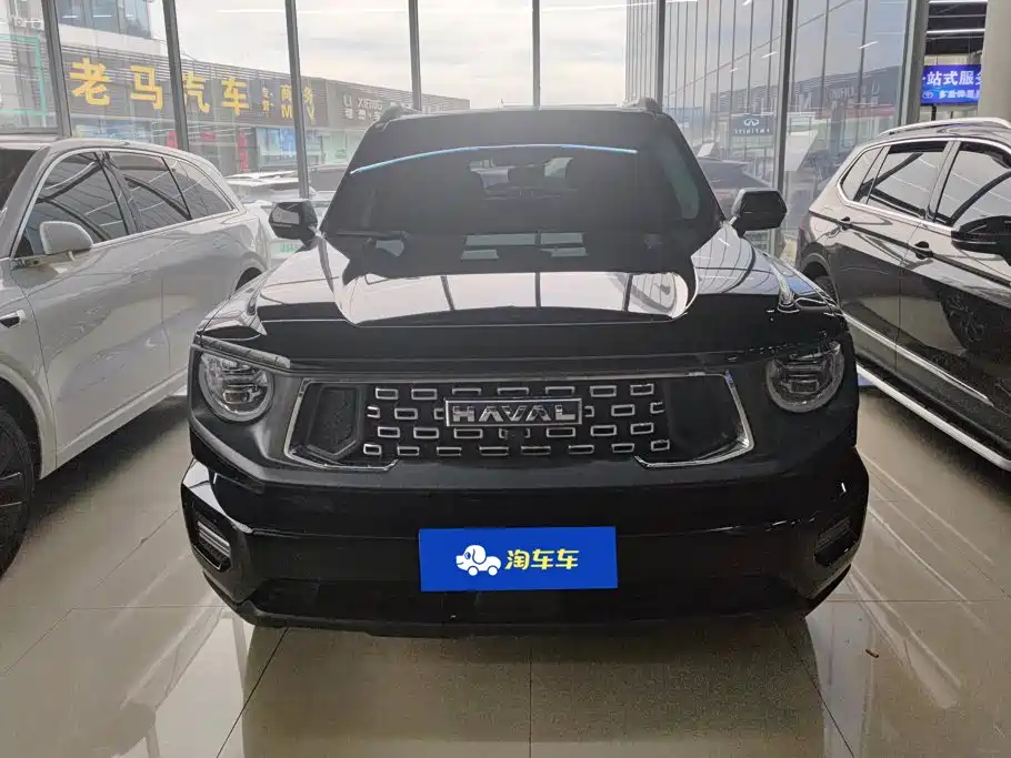 Haval Big Dog PLUS — миниатюра 2