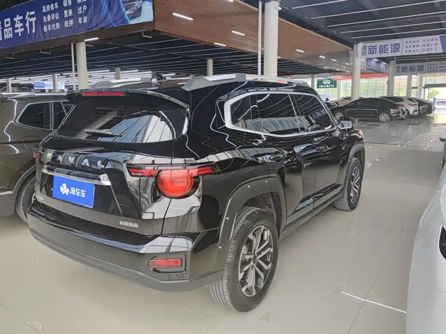 Haval Big Dog PLUS — миниатюра 3