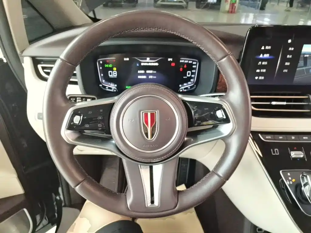 Hongqi Hongqi HQ9 — миниатюра 11