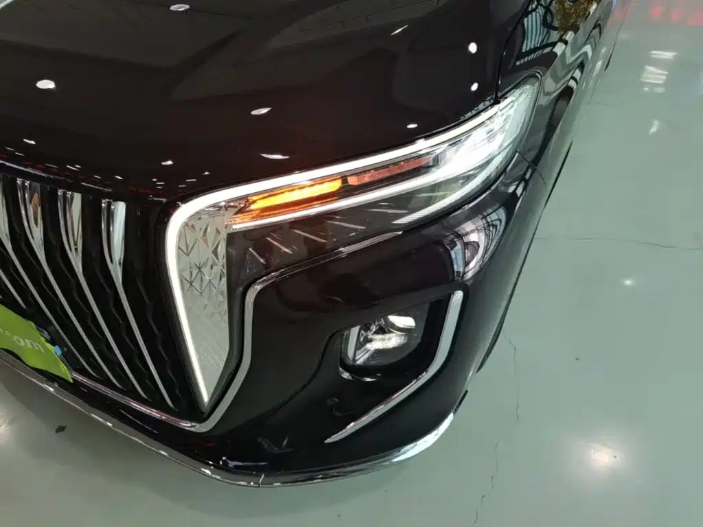 Hongqi Hongqi HQ9 — миниатюра 24