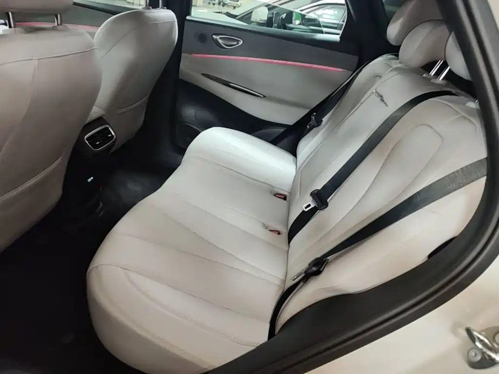 BYD Sealion 06 — миниатюра 17