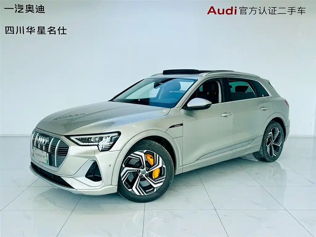 Audi e-tron 2021 50 quattro