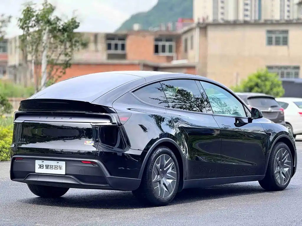 Tesla Model Y L — фотографии объявления, Фото 13