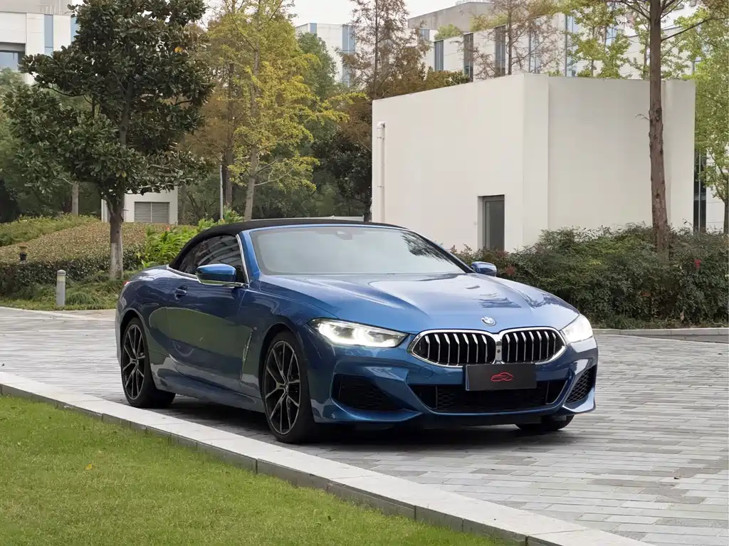 BMW 8 SERIES