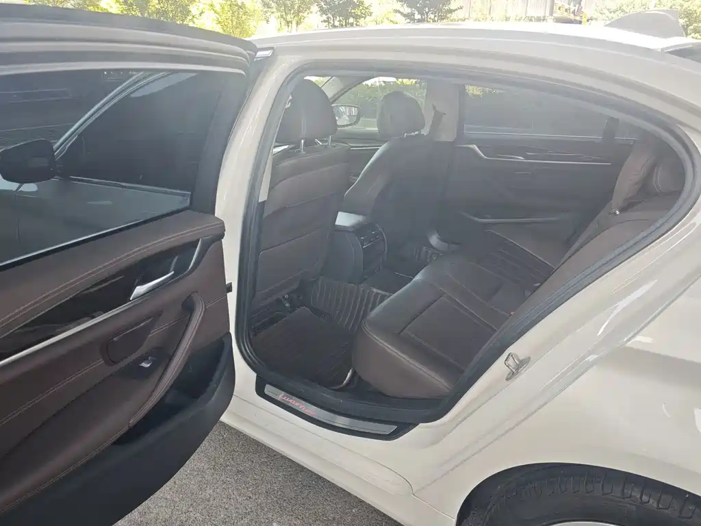 BMW 5 Series 5 2020 525Li Luxury