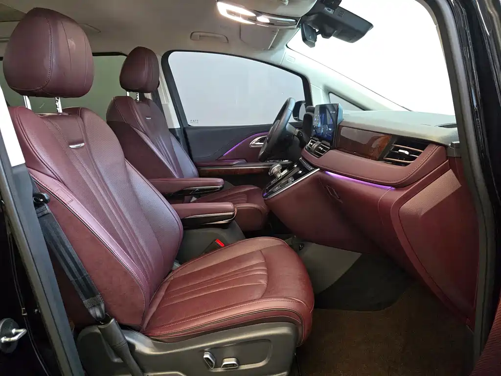 Hongqi Hongqi HQ9 — миниатюра 17