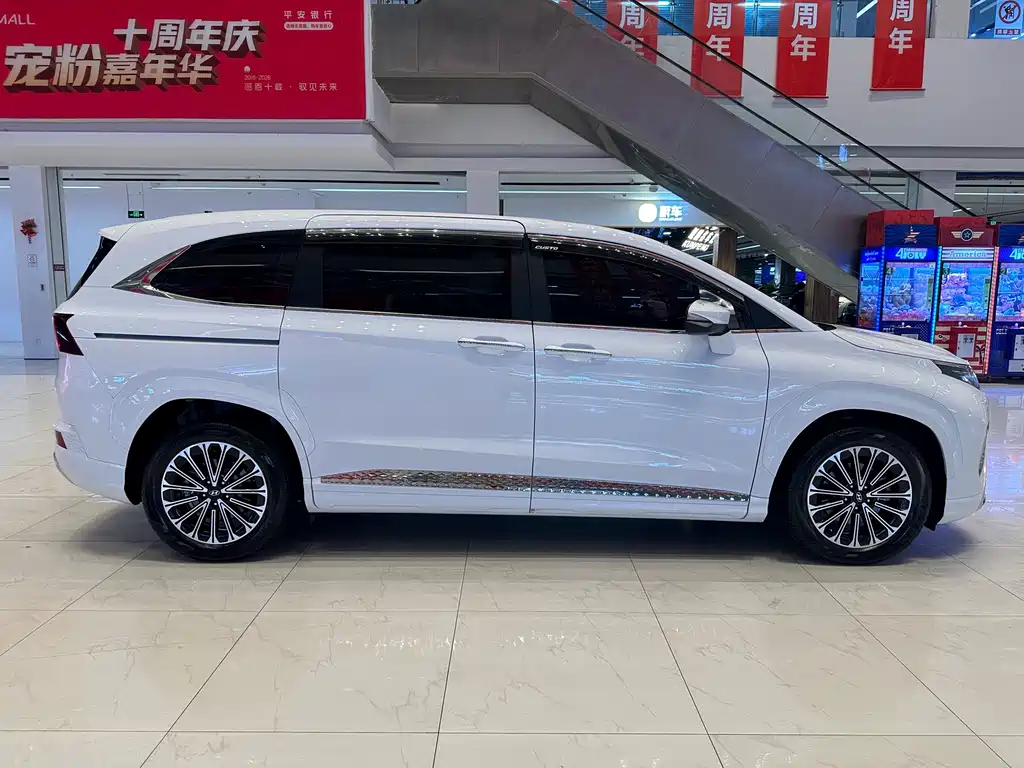 Hyundai Custo — миниатюра 8