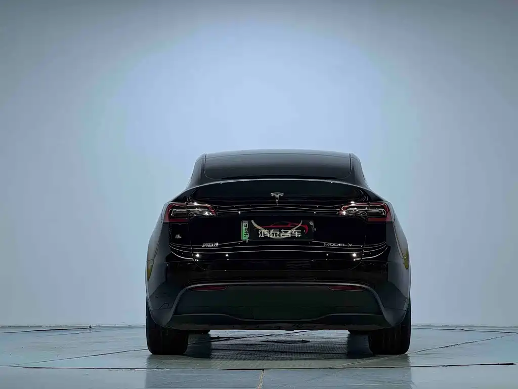 Tesla Model Y — миниатюра 15
