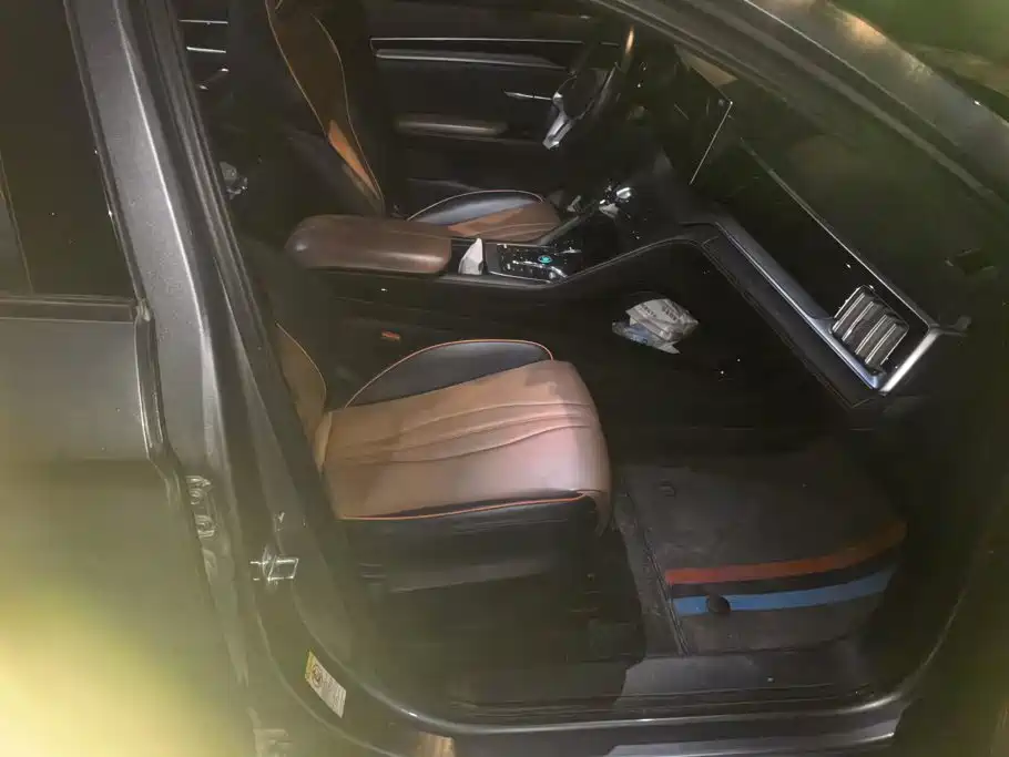 BYD PLUS — миниатюра 8