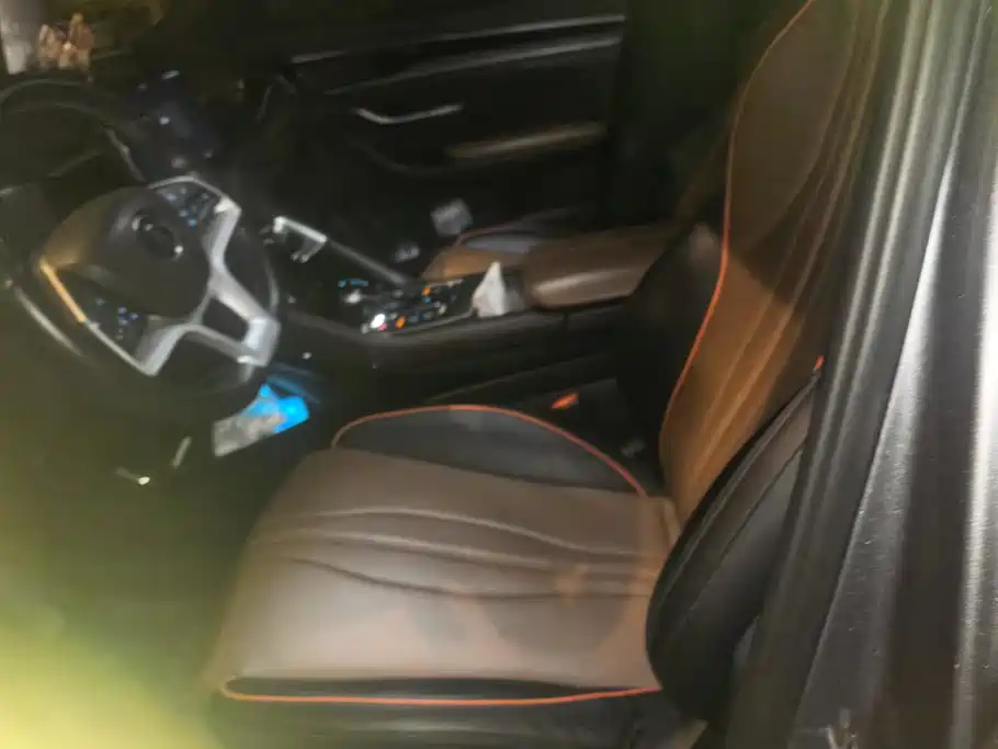 BYD PLUS — миниатюра 9