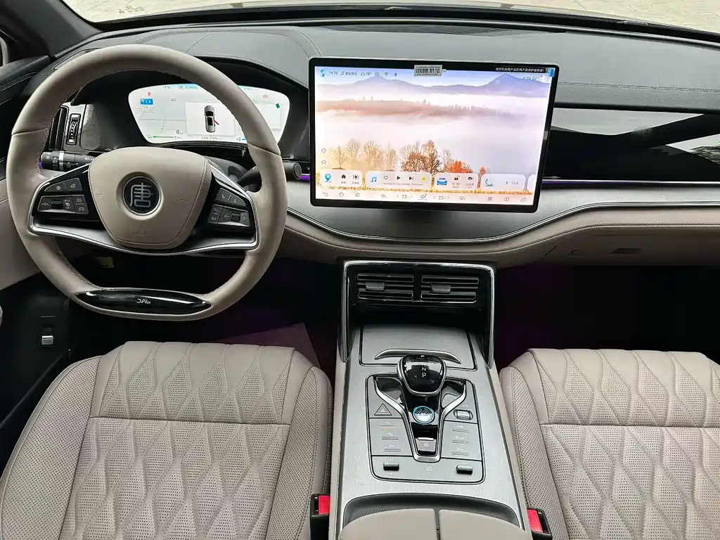 BYD Tang New Energy — миниатюра 5