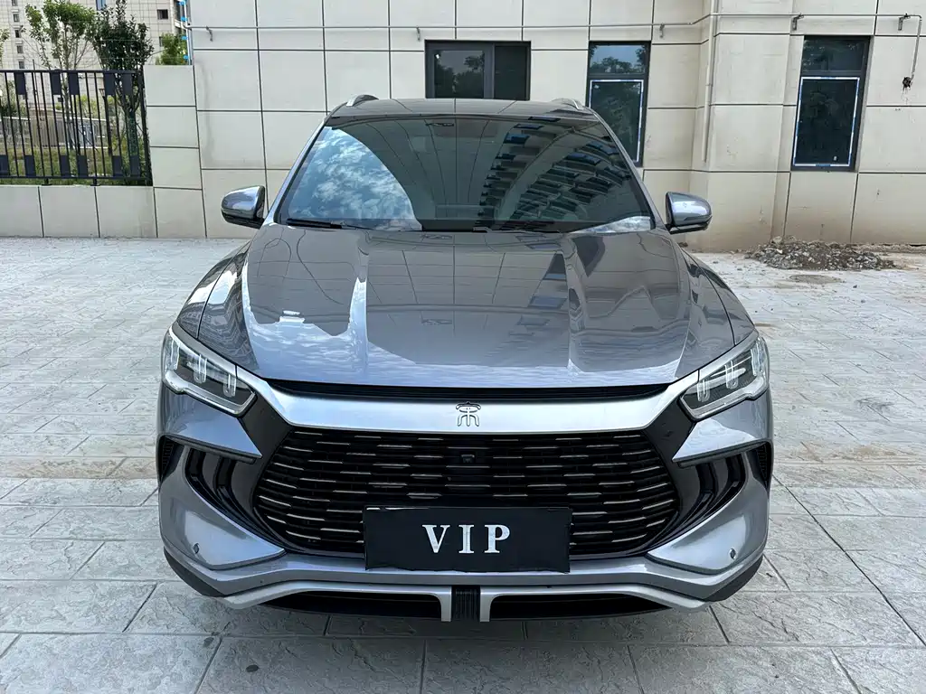 BYD Pro New Energy — миниатюра 2