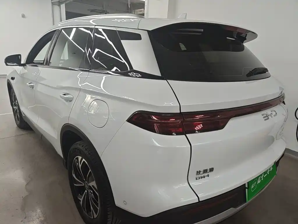 BYD Pro New Energy — миниатюра 5