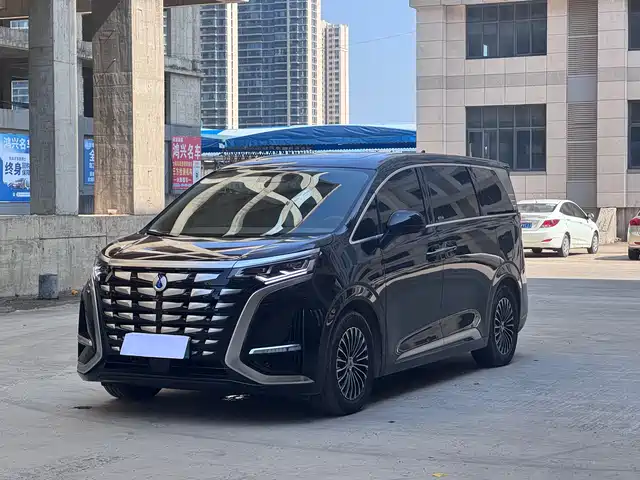 2023 Denza D9