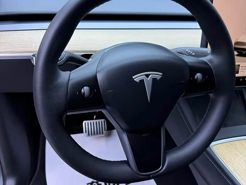 Tesla Model Y — миниатюра 11