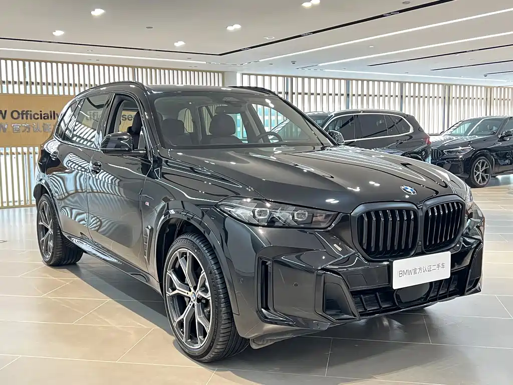 BMW X5 — миниатюра 3