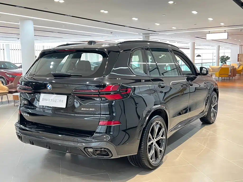 BMW X5 — миниатюра 19