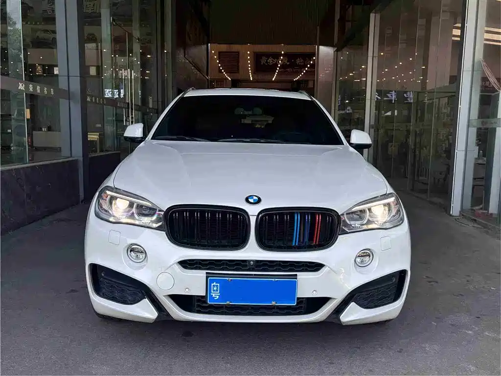BMW X6
