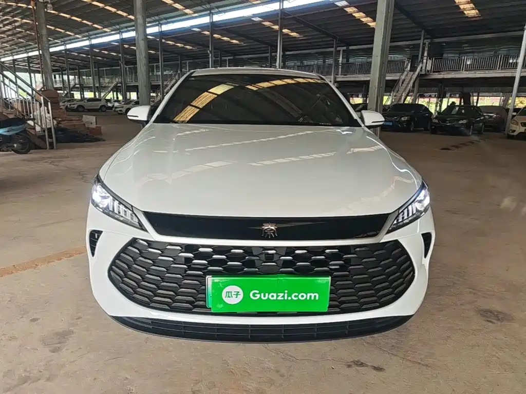 BYD Qin Plus PLUS 2025 DM-i Smart Drive 55KM Lead