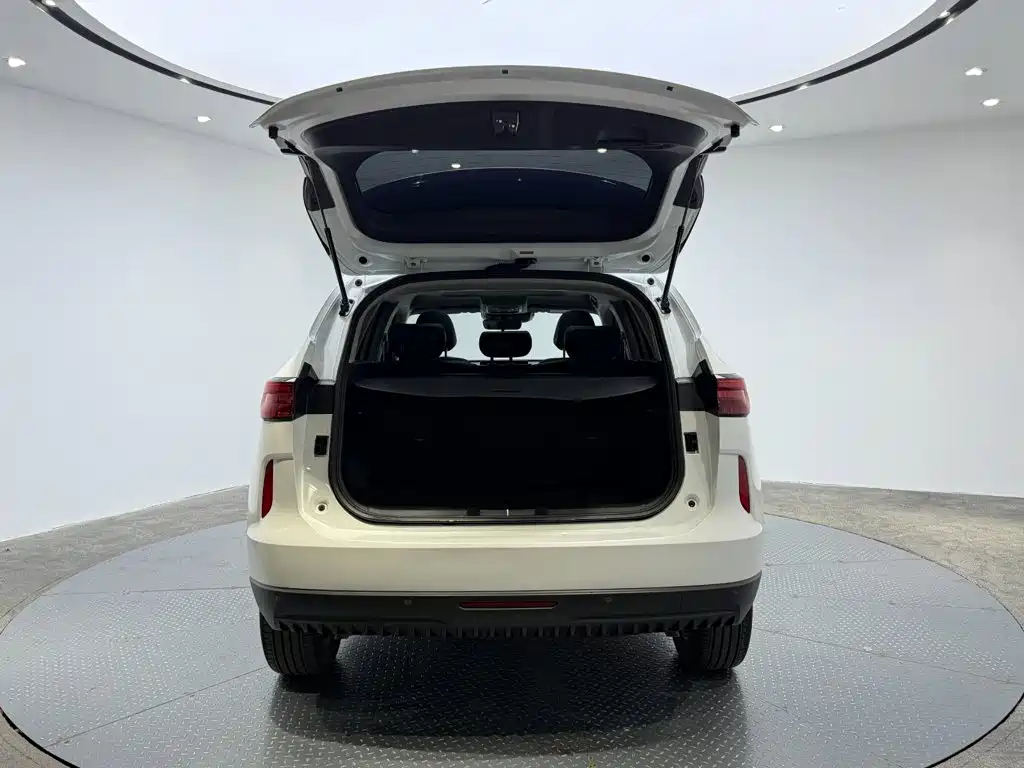 Haval H6 — миниатюра 4